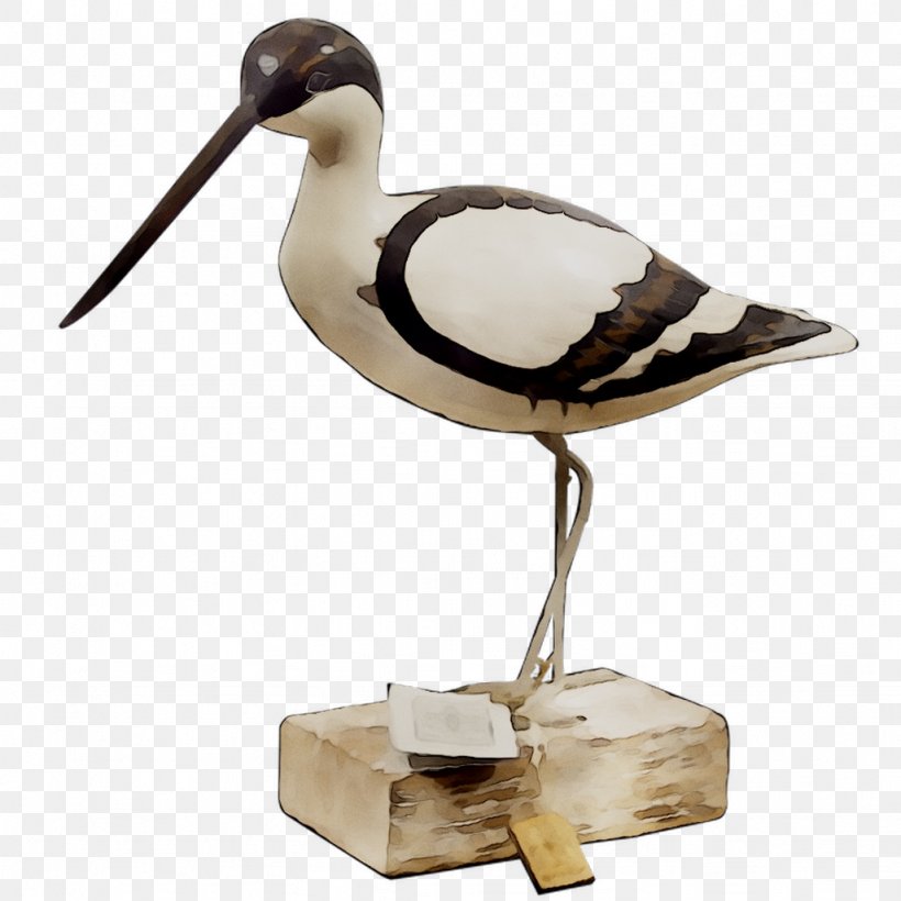 Beak Water Bird Seabird Wader, PNG, 1026x1026px, Beak, Animal Figure, Bird, Charadriiformes, Fauna Download Free