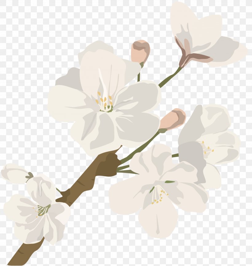 Cut Flowers Cherry Blossom Plant Stem, PNG, 2629x2779px, Flower, Blossom, Branch, Branching, Cherry Download Free