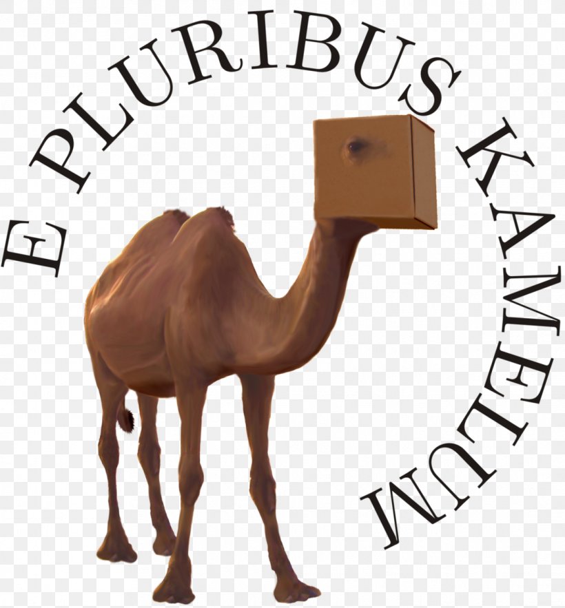 Dromedary Kamelopedia Wikipedia Logo Camel, PNG, 1114x1200px, Dromedary, Arabian Camel, Camel, Camel Like Mammal, Just For Laughs Gags Download Free