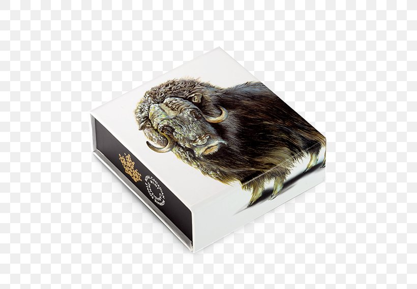 Muskox Dollar Coin Silver, PNG, 570x570px, Muskox, Animal, Box, Coin, Dollar Coin Download Free