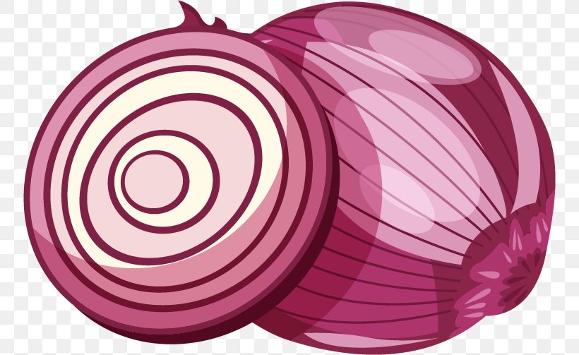 Red Onion Euclidean Vector, PNG, 754x503px, Red Onion, Food, Magenta, Onion, Pink Download Free