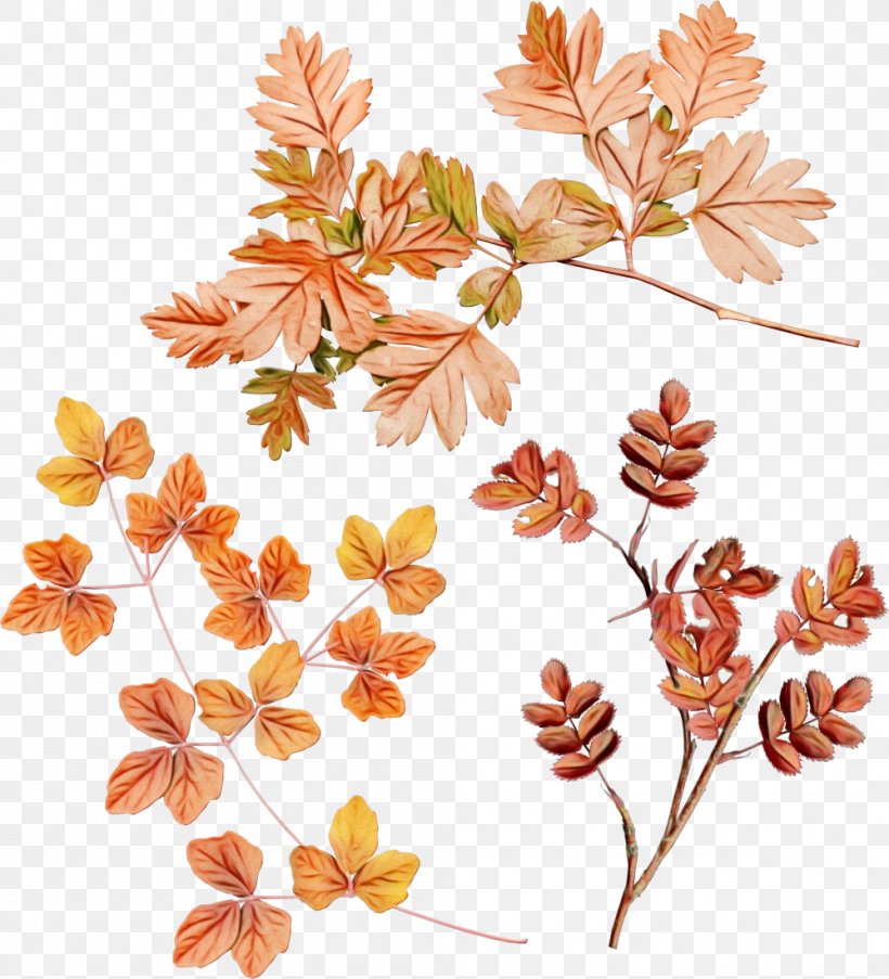 Watercolor Wreath Flower, PNG, 999x1101px, Watercolor, Autumn, Branch, Flower, Leaf Download Free