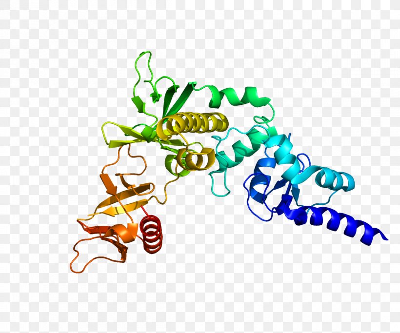 Centaurin, Alpha 1 Protein Gap Gene Biochemistry, PNG, 1200x1000px, Centaurin Alpha 1, Area, Artwork, Biochemistry, Casein Kinase Download Free