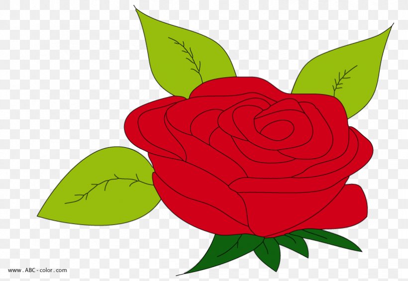 Garden Roses Drawing Clip Art, PNG, 822x567px, Garden Roses, Digital Image, Drawing, Flora, Flower Download Free