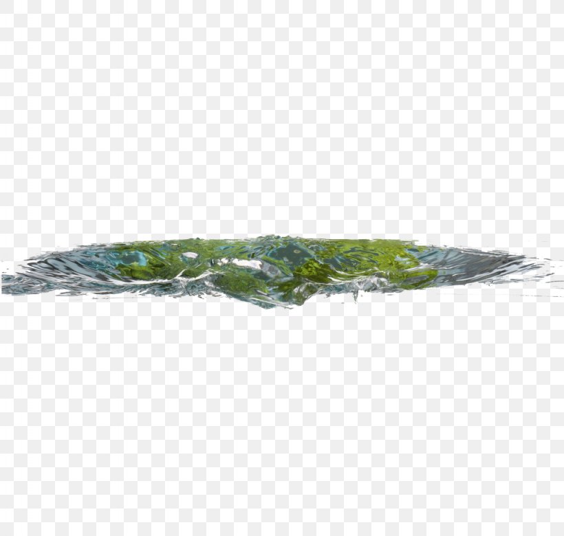 Green Leaf Pattern, PNG, 1024x975px, Green, Grass, Leaf, Tree Download Free