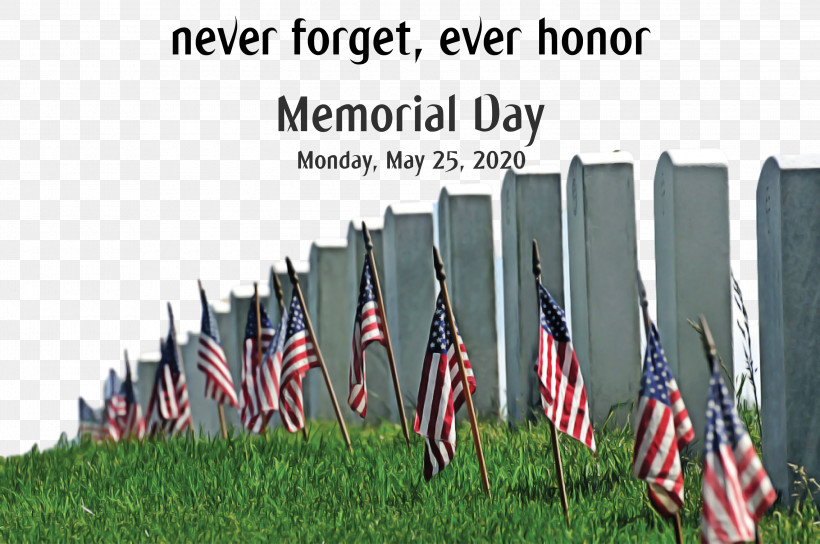 Memorial Day, PNG, 3000x1992px, Memorial Day, Cemetery, Flag Of The United States, History, Holiday Download Free