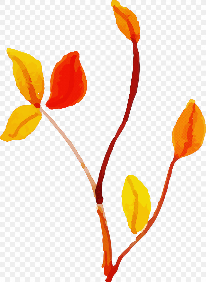Plant Stem Flower Cut Flowers Petal Leaf, PNG, 2198x3000px, Watercolor Autumn, Biology, Branch, Colorful Leaf, Cut Flowers Download Free