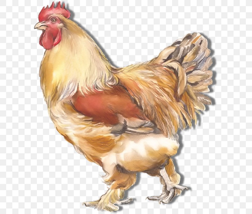 Rooster Chicken Clip Art, PNG, 600x698px, Rooster, Animal, Beak, Bird, Blog Download Free