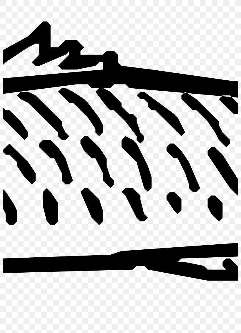 Scale Clip Art, PNG, 800x1131px, Scale, Black, Black And White, Fish, Fish Scale Download Free