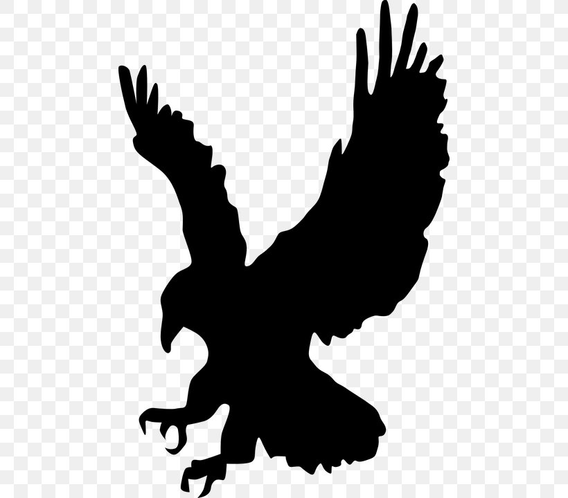Bird Eagle Silhouette Clip Art, PNG, 478x720px, Bird, Artwork, Beak, Black And White, Drawing Download Free