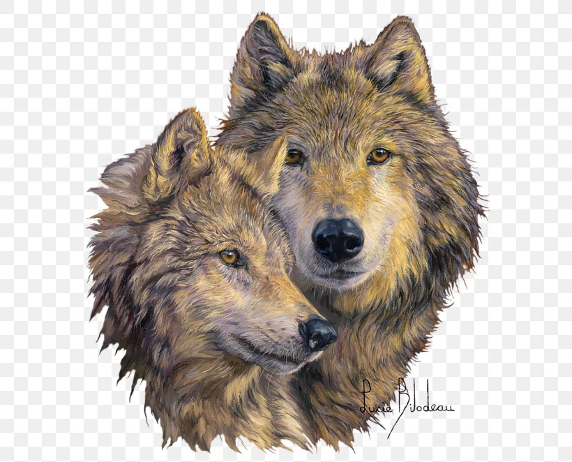Gray Wolf Painting IPhone Drawing Embroidery, PNG, 600x662px, Gray Wolf, Animal, Art, Bead, Canis Lupus Tundrarum Download Free