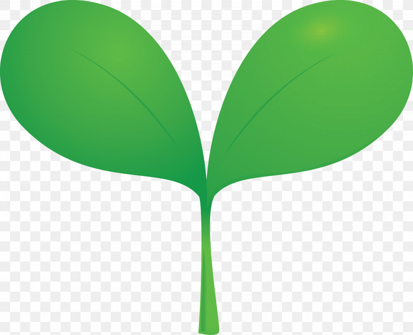 Sprout Bud Seed, PNG, 2999x2438px, Sprout, Bud, Flush, Green, Leaf Download Free
