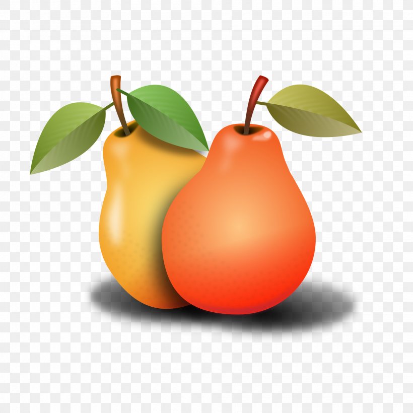 Tangerine Apple Tangelo Mandarin Orange Food, PNG, 1920x1920px, Tangerine, Apple, Asian Pear, Cashew, Citrus Download Free