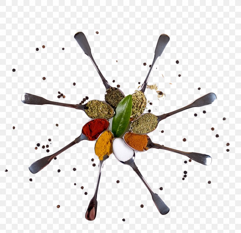 Flavor Spice Mem Saab Food Indian Cuisine, PNG, 1077x1040px, Flavor, Condiment, Cuisine, Food, Food Trends Download Free