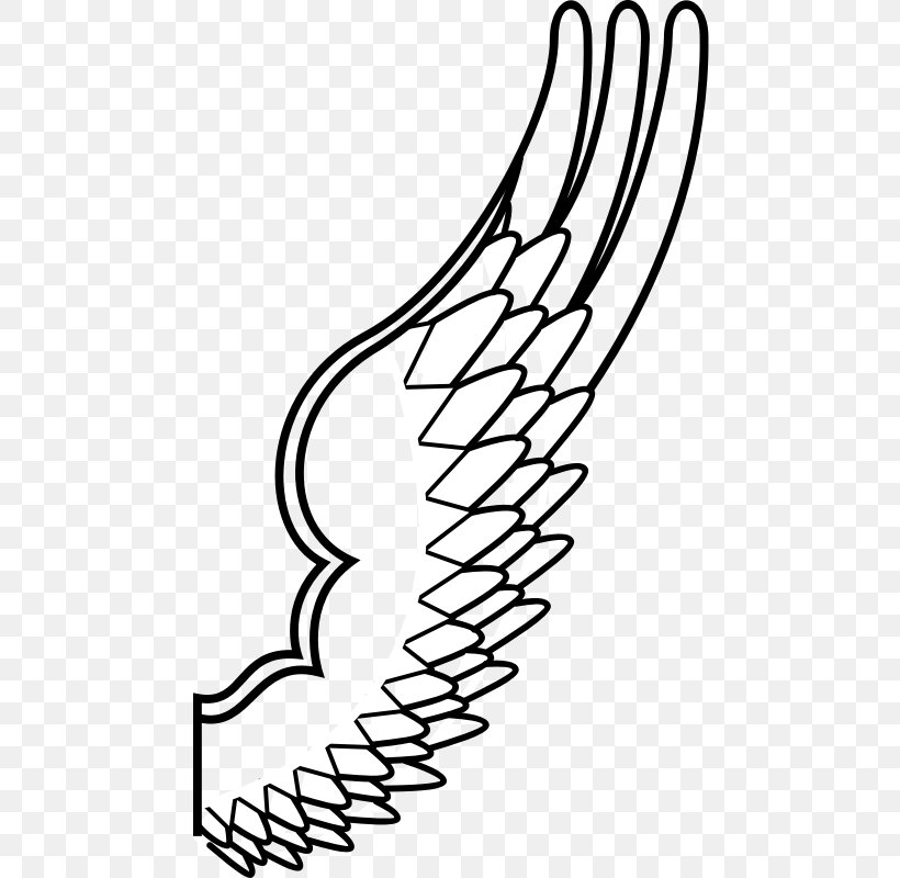Bird Owl Wing Clip Art, PNG, 800x800px, Bird, Angel Wing, Arm, Black And White, Coloring Book Download Free