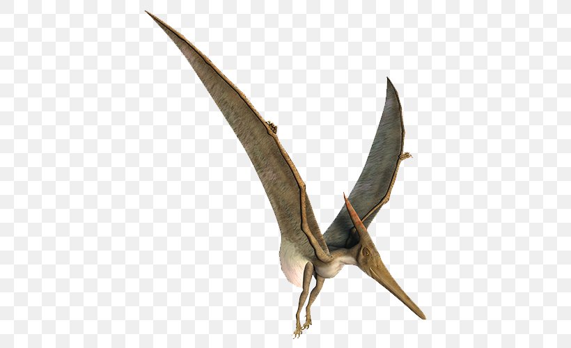 Pteranodon Stock Photography Royalty-free Pterodactyl Stock Illustration, PNG, 500x500px, 3d Computer Graphics, Pteranodon, Dinosaur, Photography, Plant Download Free