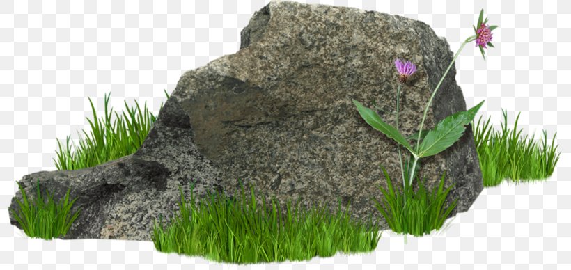 Rock Clip Art, PNG, 800x388px, Rock, Animation, Garden, Grass, Houseplant Download Free