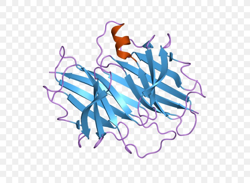 Transthyretin RNA Interference Thyroid Hormones Retinol-binding Protein Gene, PNG, 800x600px, Transthyretin, Approved Drug, Area, Art, Artwork Download Free