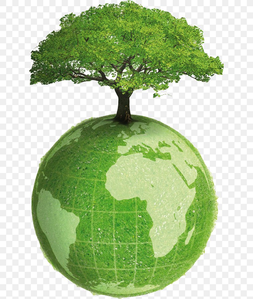 Earth Natural Environment Planet Sustainability Green, PNG, 632x968px, Earth, Biophysical Environment, Ecology, Global Warming, Grass Download Free