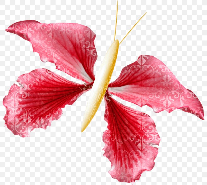 Flower KATILIM 30 Petal Clip Art, PNG, 800x731px, 2017, Flower, Butterflies And Moths, Flowering Plant, Hibiscus Download Free