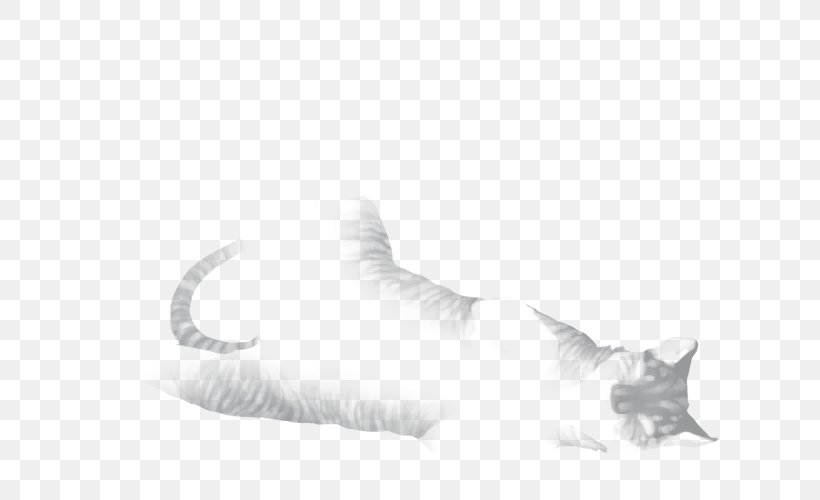 Whiskers Kitten Fur Dog White, PNG, 640x500px, Whiskers, Black And White, Canidae, Carnivoran, Cat Download Free