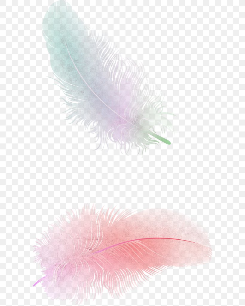 Feather Color Gradient Euclidean Vector, PNG, 603x1024px, Feather, Color, Color Gradient, Gradient, Petal Download Free