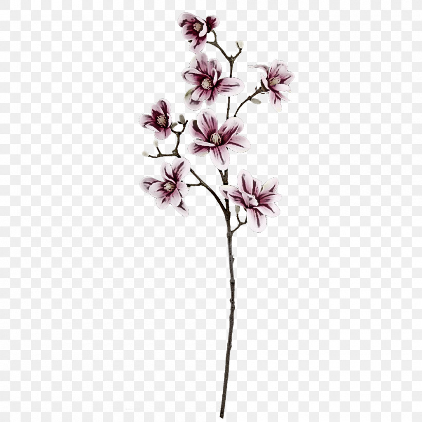 Cherry Blossom, PNG, 1000x1000px, Plant Stem, Biology, Cherry Blossom, Cut Flowers, Flower Download Free