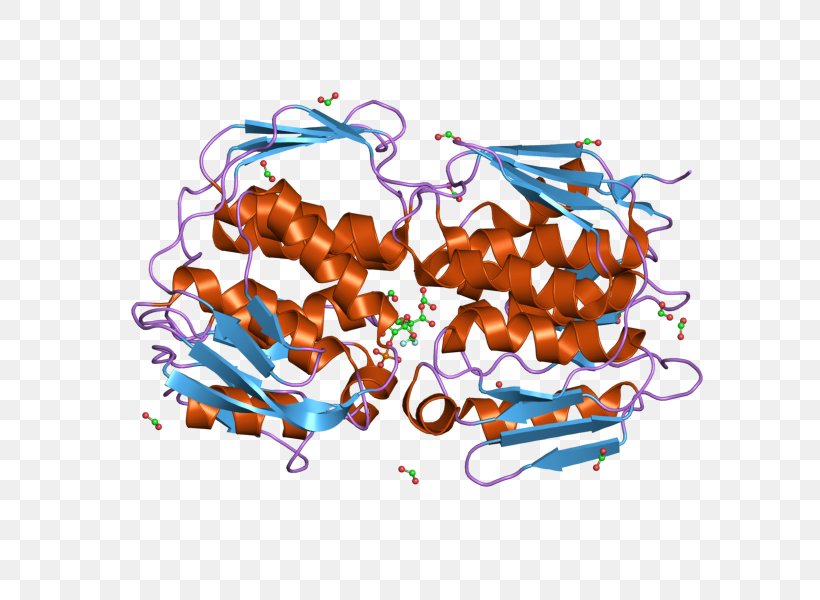 EPSP Synthase Chorismate Synthase Transferase Glyphosate E. Coli, PNG, 800x600px, Watercolor, Cartoon, Flower, Frame, Heart Download Free