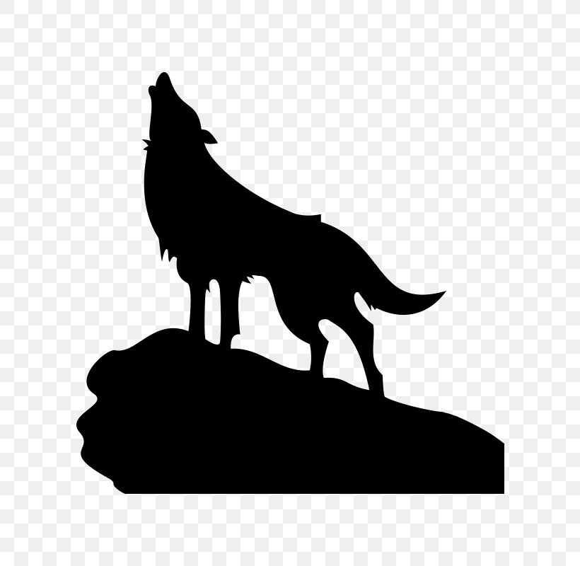 Gray Wolf Coyote Silhouette, PNG, 800x800px, Gray Wolf, Airbrush, Aullido, Black, Black And White Download Free