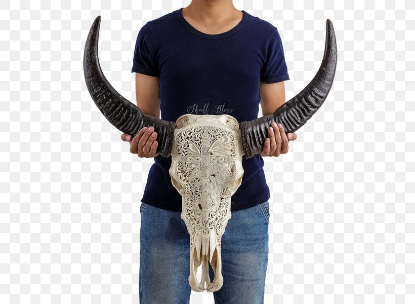 XL Horns Skull Cattle Ganesha, PNG, 600x600px, Horn, Barbed Wire, Buffalo, Carved, Cattle Download Free