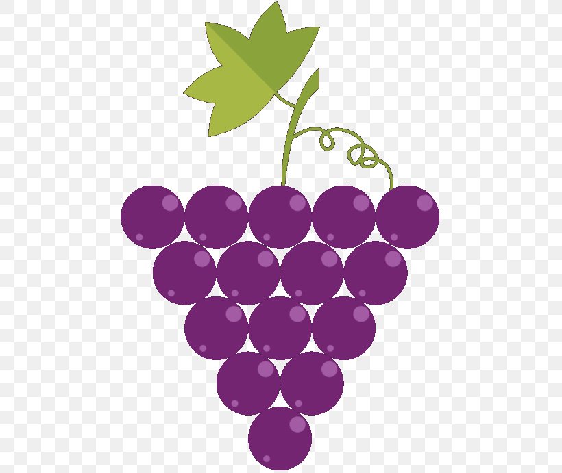 Grape Wine Asti Loazzolo Illustration, PNG, 480x691px, Grape, Asti, Berry, Brothel, Cherry Download Free