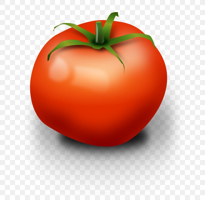 Tomato Clip Art, PNG, 763x800px, Tomato, Apple, Bush Tomato, Diet Food, Food Download Free