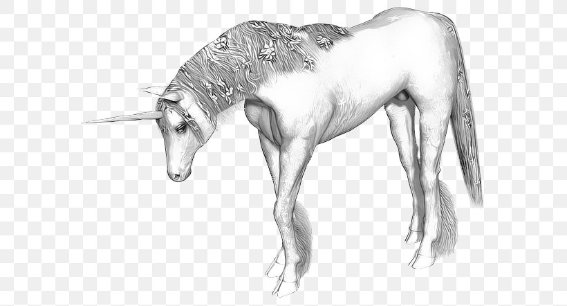 Unicorn Horn Horse Legendary Creature Unicorn Horn, PNG, 616x442px, Unicorn, Artwork, Black And White, Drawing, Fairy Tale Download Free