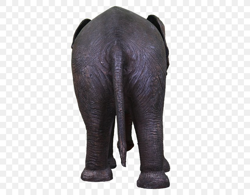 African Elephant Indian Elephant Terrestrial Animal Mammal, PNG, 640x640px, African Elephant, Animal, Asian Elephant, Elephant, Elephants And Mammoths Download Free
