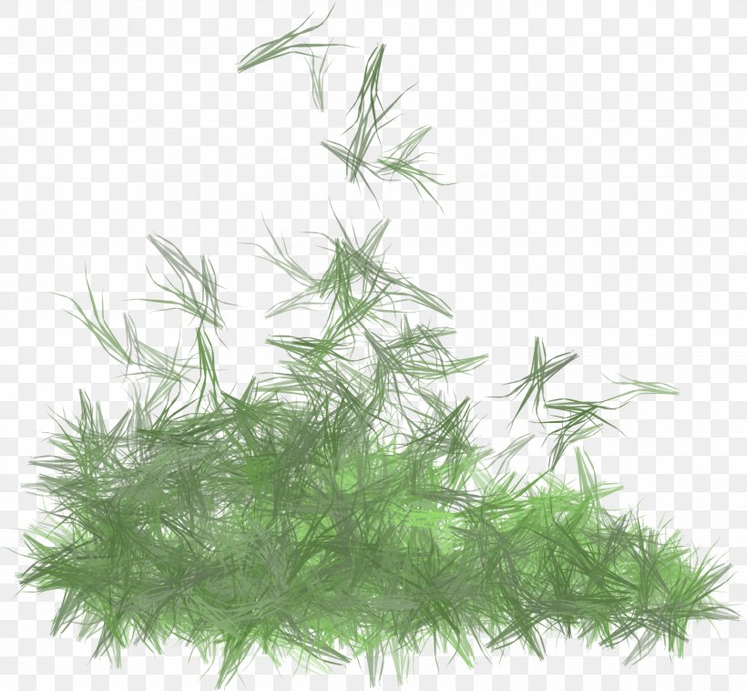 Aquarium Tree Herb, PNG, 2843x2629px, Aquarium, Aquarium Decor, Grass, Herb, Plant Download Free