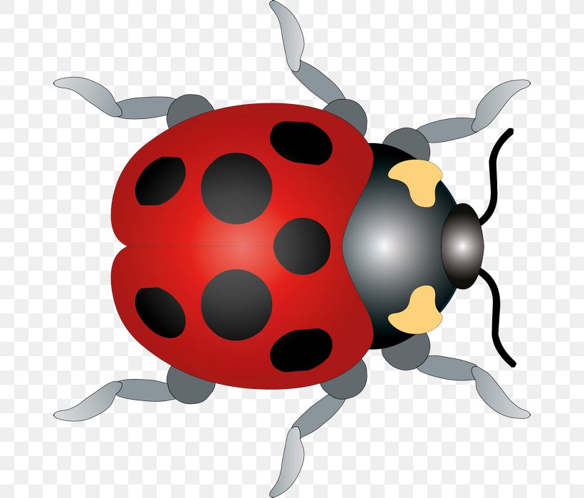 Ladybird Beetle Clip Art, PNG, 670x699px, Ladybird, Animal, Beetle, Cartoon, Coccinella Septempunctata Download Free