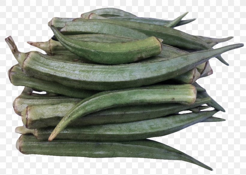 Okra Plant Food Vegetable Mallow Family, PNG, 1024x728px, Okra, Food, Mallow Family, Plant, Vegetable Download Free