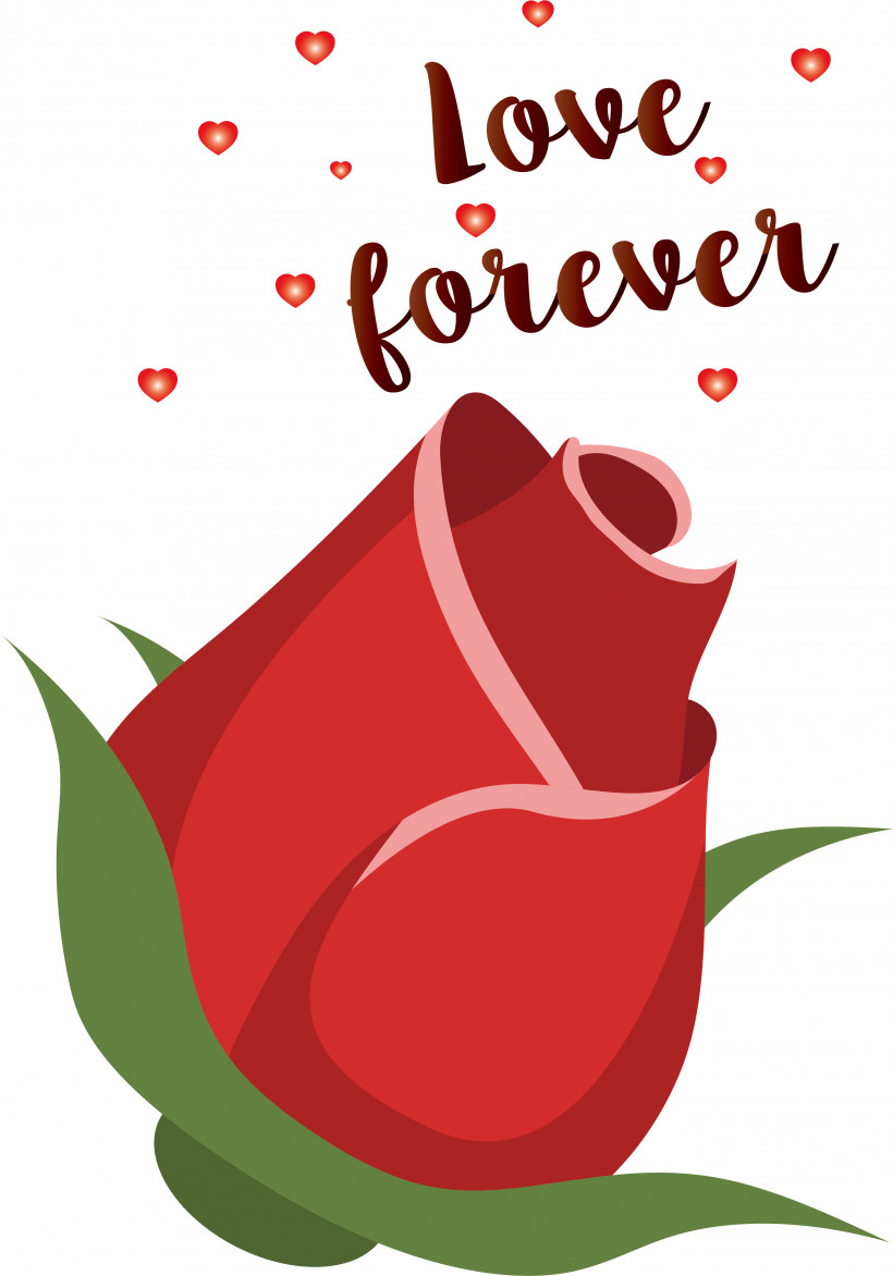Flower Greeting Card Greeting Red Petal, PNG, 2681x3835px, Flower, Fruit, Greeting, Greeting Card, Leaf Download Free