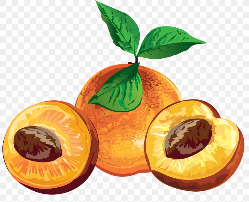Fruit Label Clip Art, PNG, 5359x4346px, Fruit, Berry, Citrus, Clementine, Diet Food Download Free