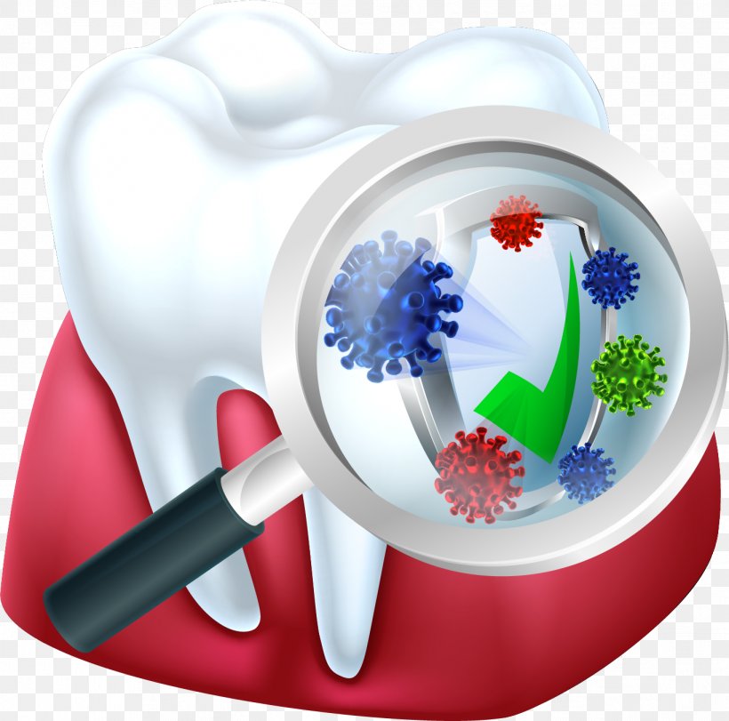 Human Tooth Tooth Decay Bacteria, PNG, 1368x1354px, Tooth, Bacteria, Dentistry, Flower, Human Tooth Download Free