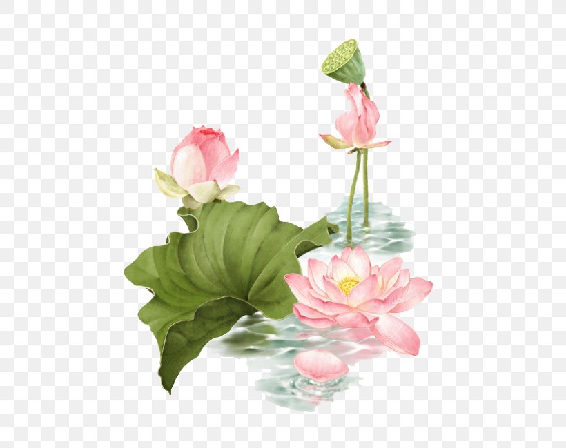 Lotus Pond Nelumbo Nucifera, PNG, 650x650px, Lotus Pond, Artificial Flower, Centrepiece, Chinese Painting, Cut Flowers Download Free