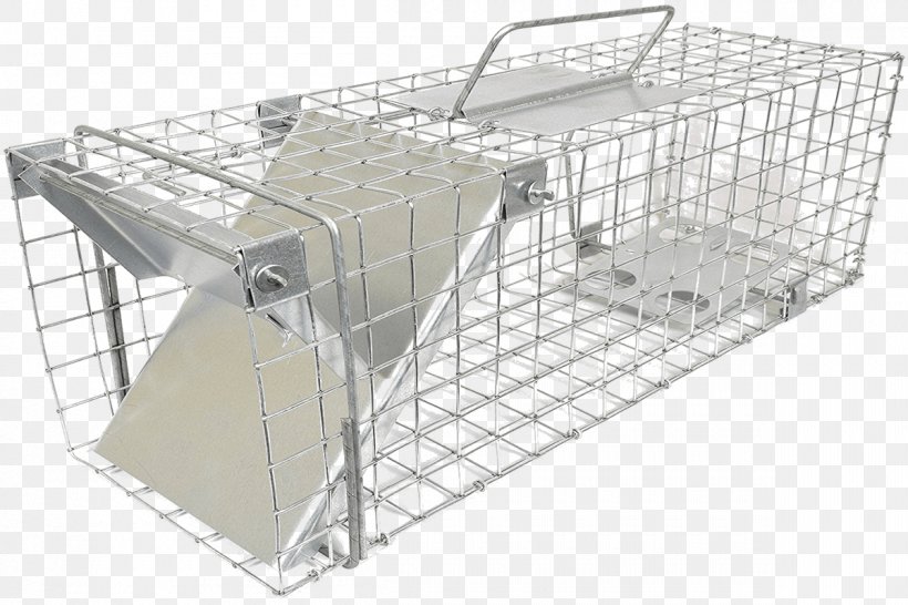 Rat Cage Trapping Squirrel Mouse, PNG, 1200x800px, Rat, Animal Trap, Bait, Bird Trapping, Cage Download Free