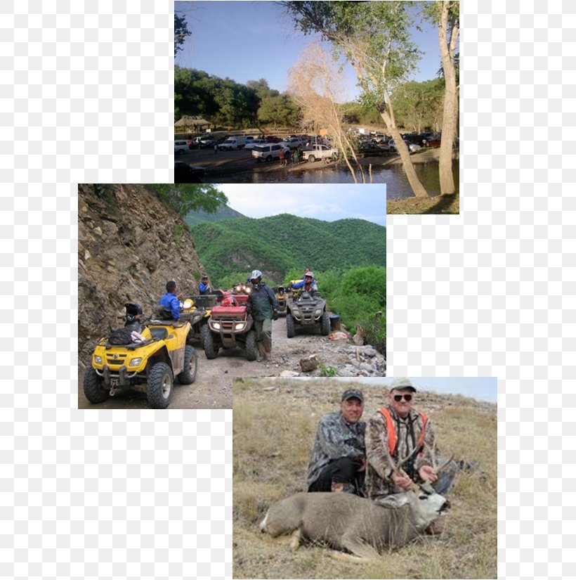 Sahuaripa Tepache Municipality Agua Prieta Yécora Aljibar, PNG, 599x825px, Landscape, Adventure, All Terrain Vehicle, City, Mexico Download Free