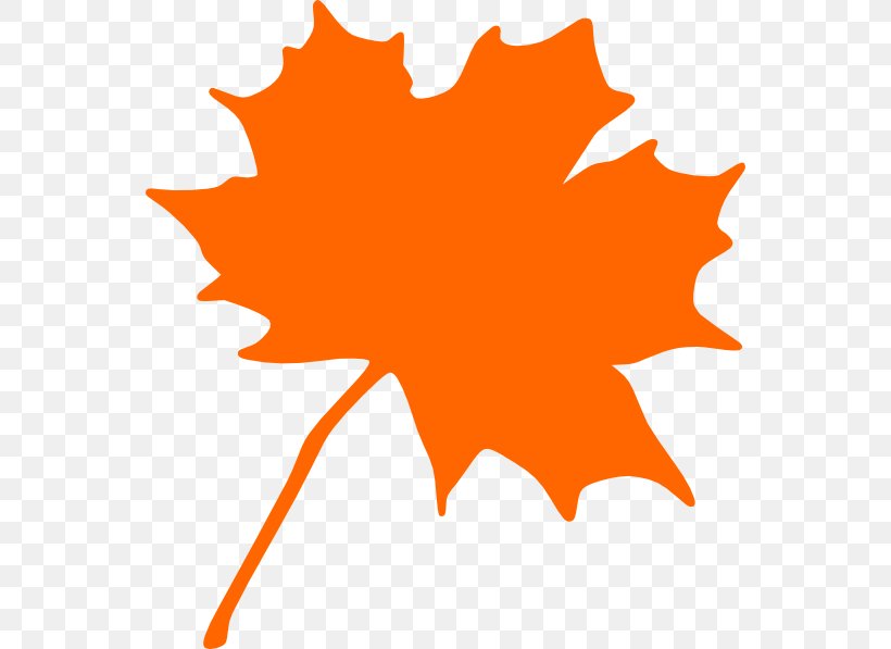 Canada Sugar Maple Maple Leaf Clip Art, PNG, 552x597px, Canada, Artwork, Autumn, Autumn Leaf Color, Drawing Download Free