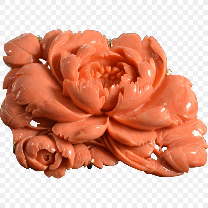 Cut Flowers Orange S.A., PNG, 1617x1617px, Cut Flowers, Flower, Orange, Orange Sa, Peach Download Free