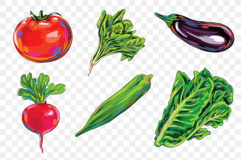 Drawing Eggplant Illustration, PNG, 1000x667px, Drawing, Art, Cartoon, Diet Food, Eggplant Download Free