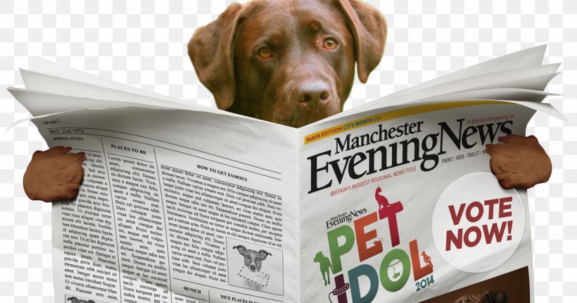 Newspaper Dog Breed French Bulldog, PNG, 1200x630px, Newspaper, Brand, Bulldog, Dog, Dog Breed Download Free