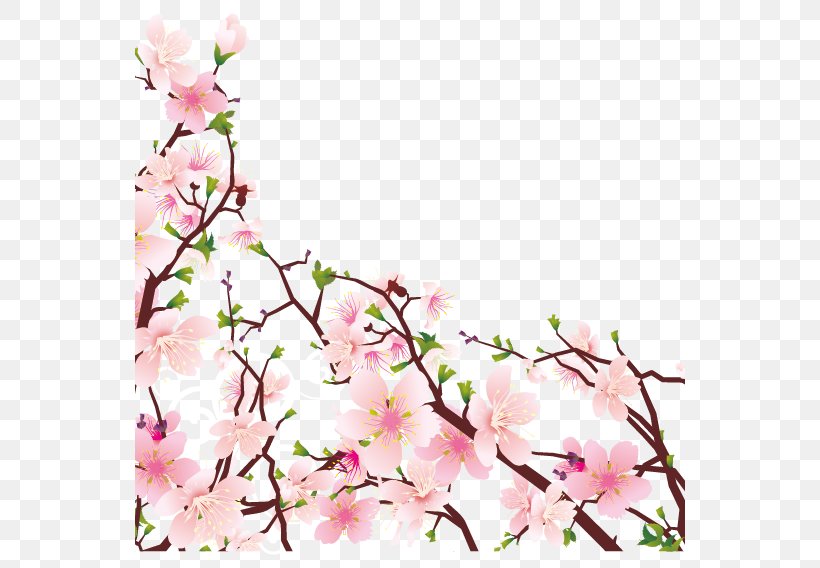 Peach Vector, PNG, 568x568px, Library, Blossom, Branch, Cdr, Cherry Blossom Download Free