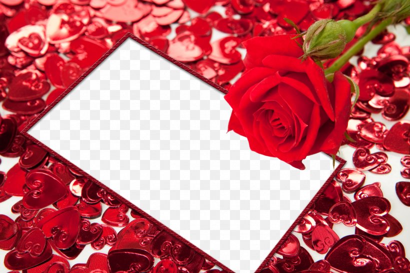 Picture Frame Heart High-definition Video, PNG, 1368x912px, Good, Floral Design, Flower, Flowering Plant, Garden Roses Download Free