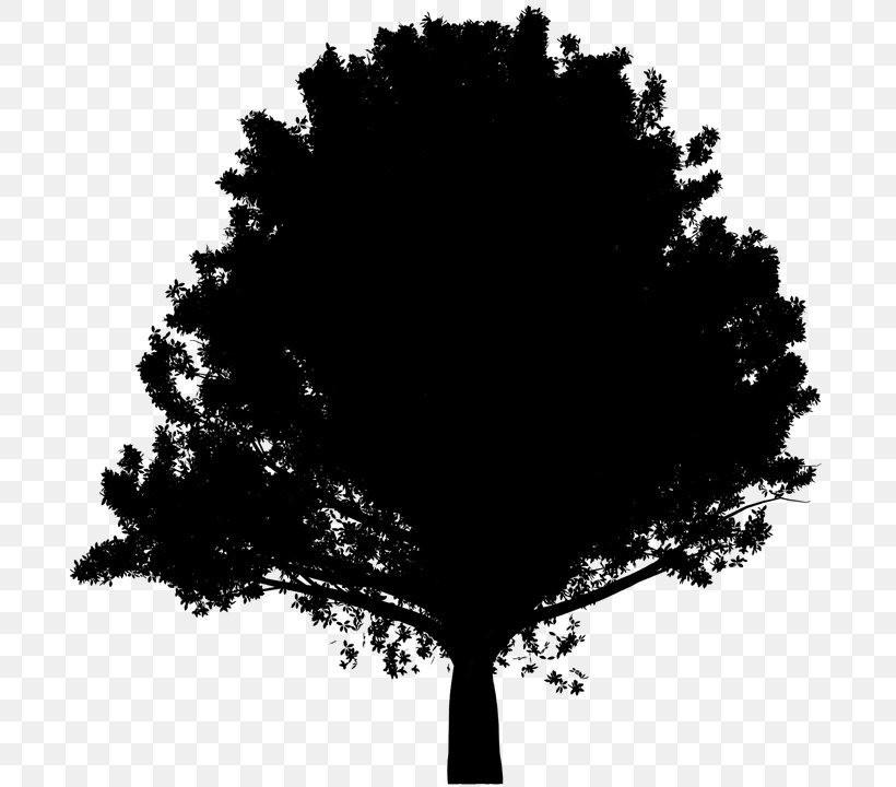 Silhouette Image Vector Graphics Clip Art, PNG, 720x720px, Silhouette, Blackandwhite, Landscape, Leaf, Plant Download Free